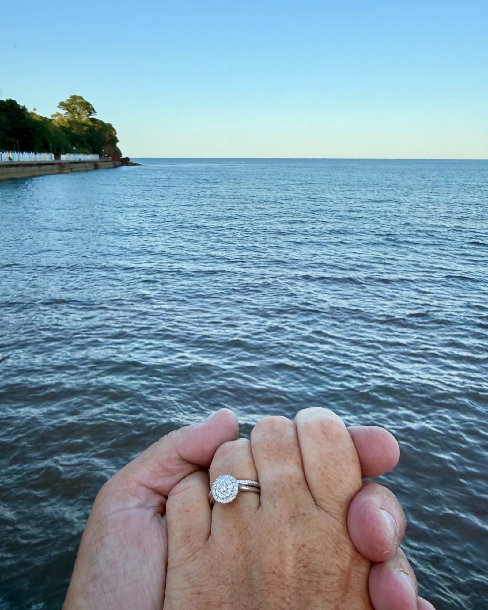 Neil and Carolanne holding hands, showing Carolanne's engagement ring, beside the sea